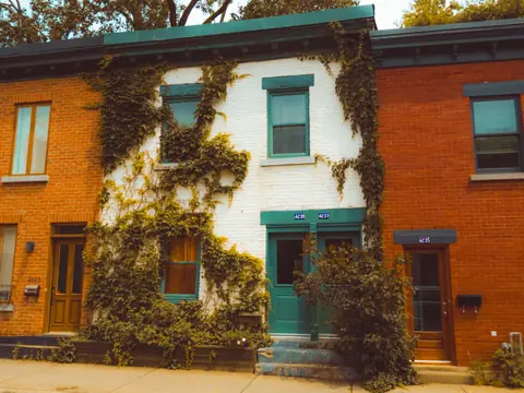 Two-story brick rowhouses with flat roofs, one front covered in ivy